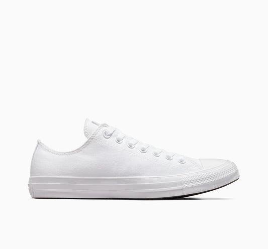 Converse Skate Shoe White White White